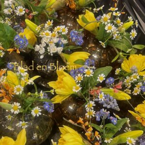 Pot of glazen vaas met voorjaarsbolletjes