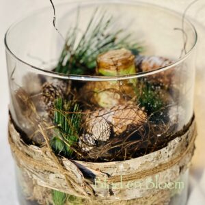 Amaryllis in gezellige winterse sferen